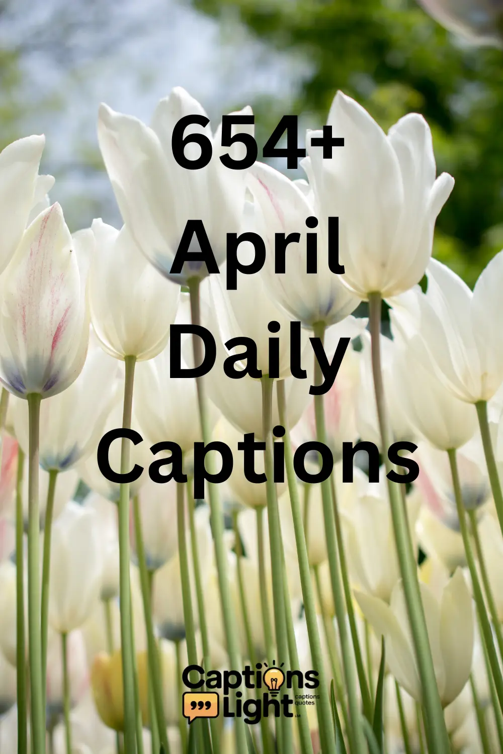 april-daily-captions