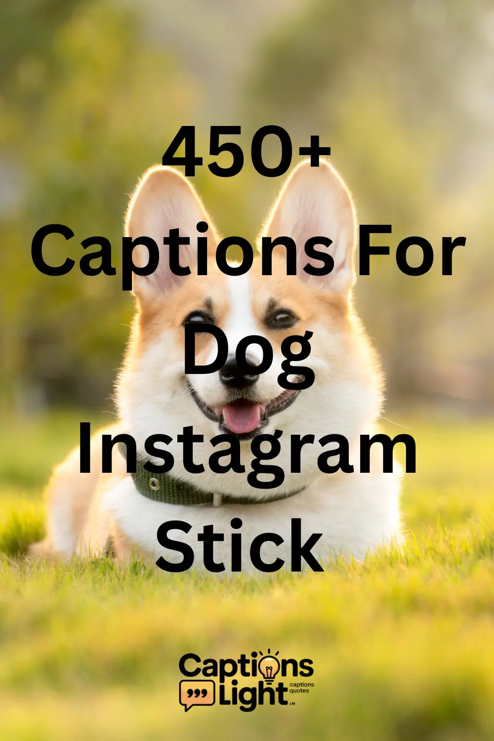 captions-for-dog-instagram-stick