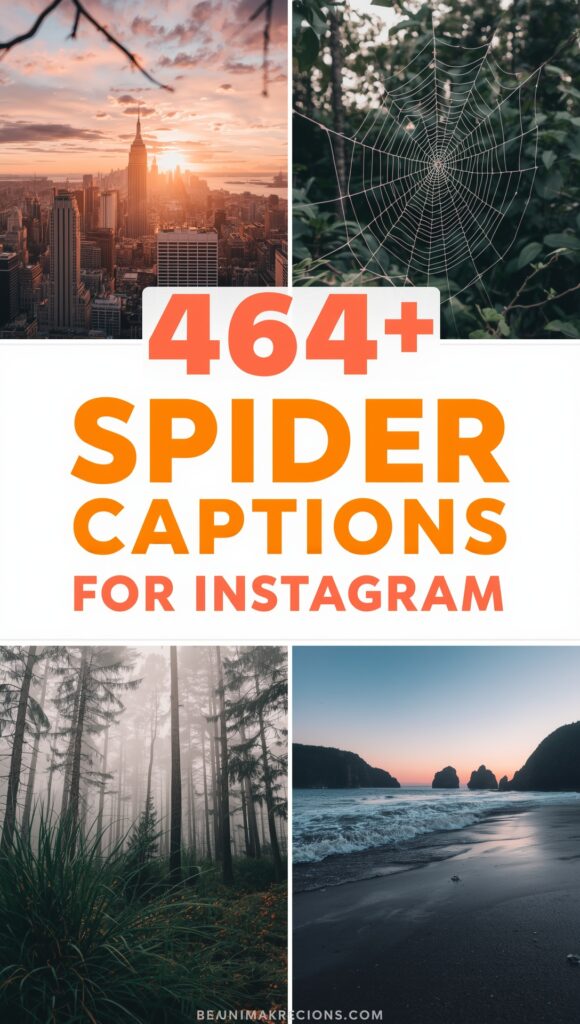 Spider Captions For Instagram